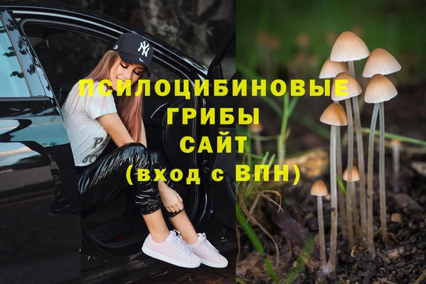 МДМА Алексеевка