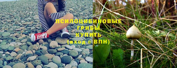 прущая мука Алзамай