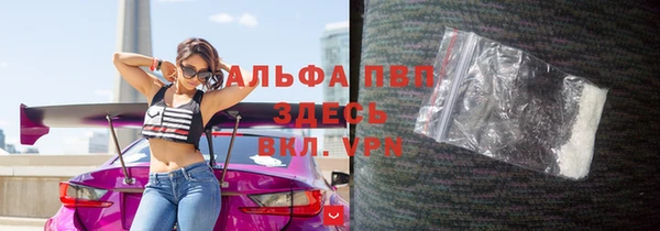 сатива Кулебаки